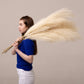 ORNA Artificial Pampas Grass Artificial Flower Long Branches Extra Fluffy 114 cm High (3 Stems x 20 Forks) for Modern Home Decoration