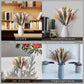 Dried Pampas Grass 60 Pieces Natural Dried Flowers Decoration, Bouquet Reed Flower Decoration for Living Room Bedroom