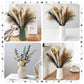 Dried Pampas Grass 60 Pieces Natural Dried Flowers Decoration, Bouquet Reed Flower Decoration for Living Room Bedroom