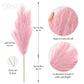 ORNA Artificial Pampas Grass Artificial Flower Long Branches Extra Fluffy 114 cm High (3 Stems x 20 Forks) for Modern Home Decoration