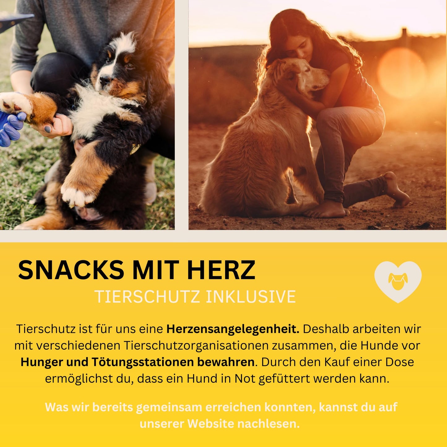 Haut & Fell Drops mit Algenöl für Hunde, 100% natürlich