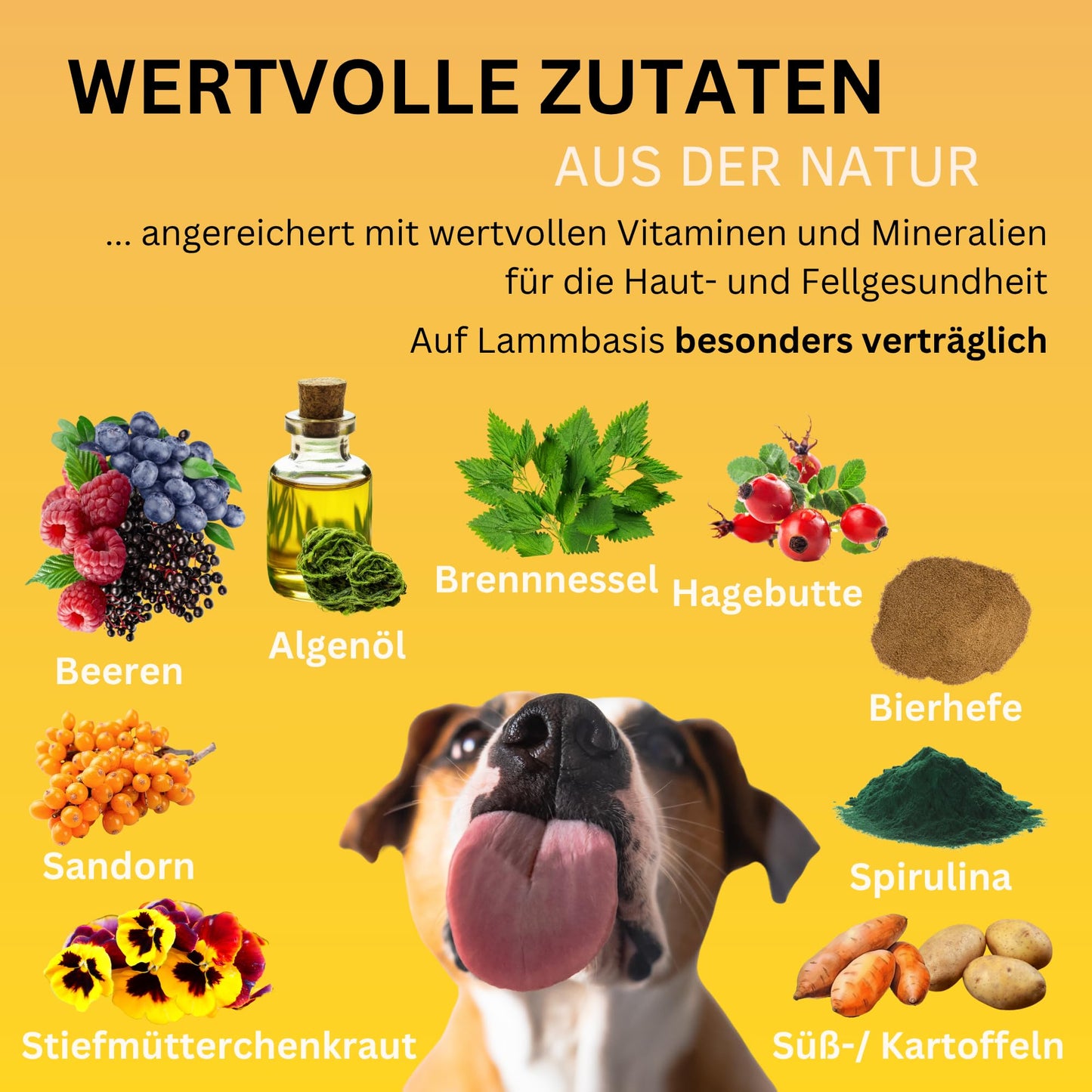 Haut & Fell Drops mit Algenöl für Hunde, 100% natürlich