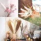 Pampasgras Getrocknet - Natürliche, Braun, Trockenblumen Strauß Dried Flowers, für Heim Decor
