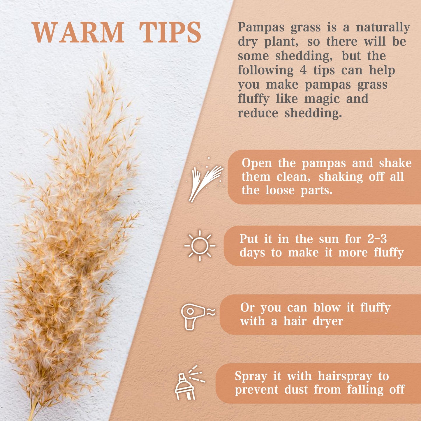 Pampasgras Getrocknet - Natürliche, Braun, Trockenblumen Strauß Dried Flowers, für Heim Decor