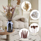 Dried Pampas Grass 60 Pieces Natural Dried Flowers Decoration, Bouquet Reed Flower Decoration for Living Room Bedroom
