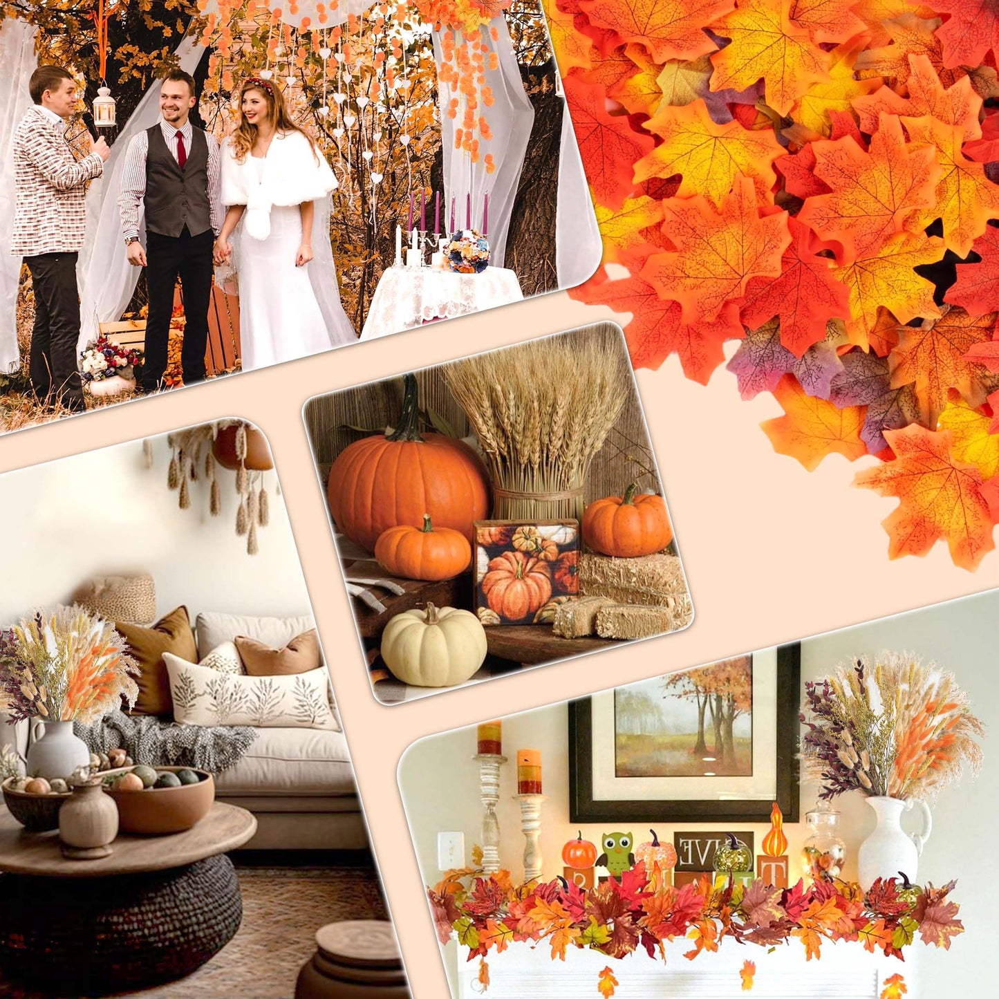 Pampasgras Getrocknet - Natürliche, Braun, Trockenblumen Strauß Dried Flowers, für Heim Decor