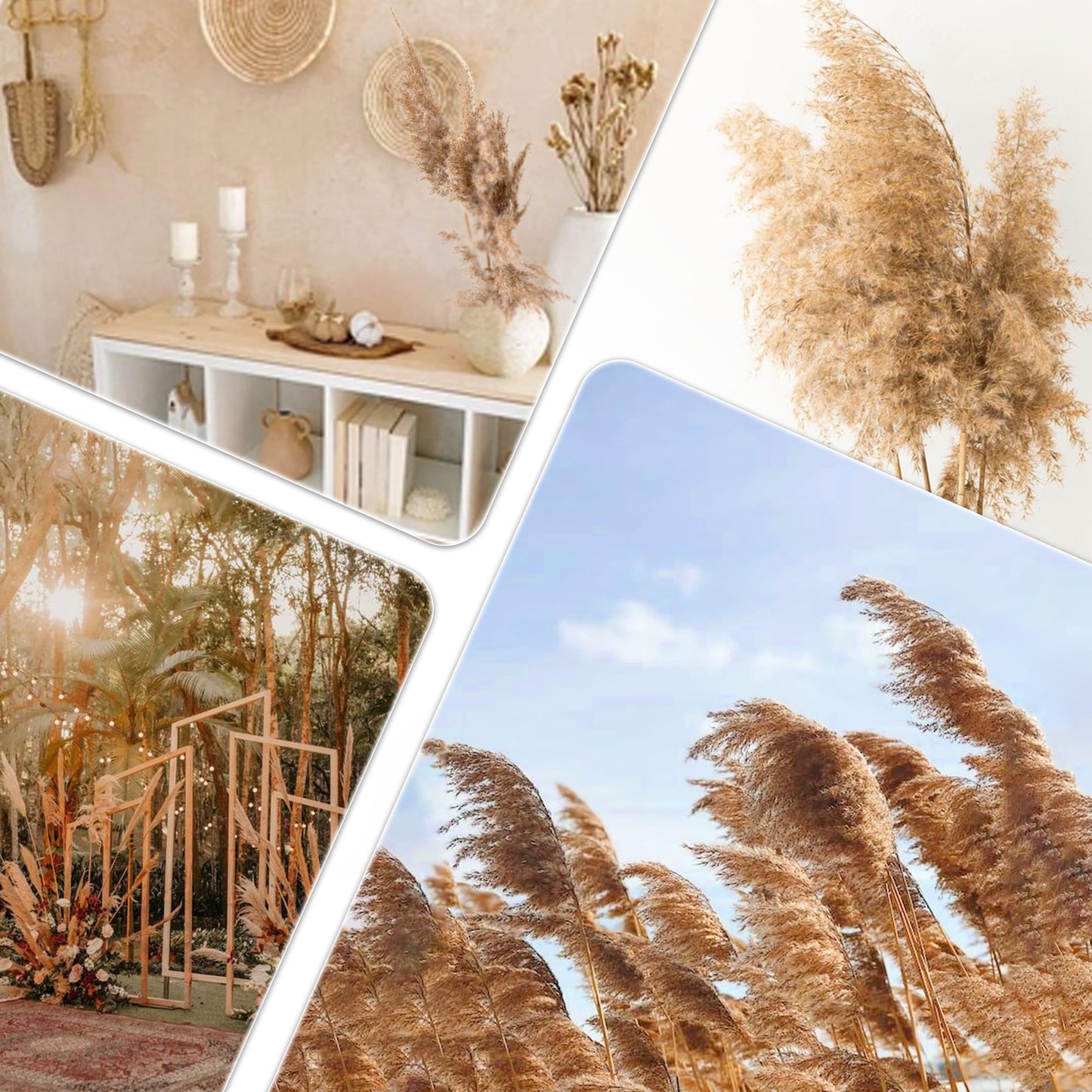 Pampasgras Getrocknet - Natürliche, Braun, Trockenblumen Strauß Dried Flowers, für Heim Decor