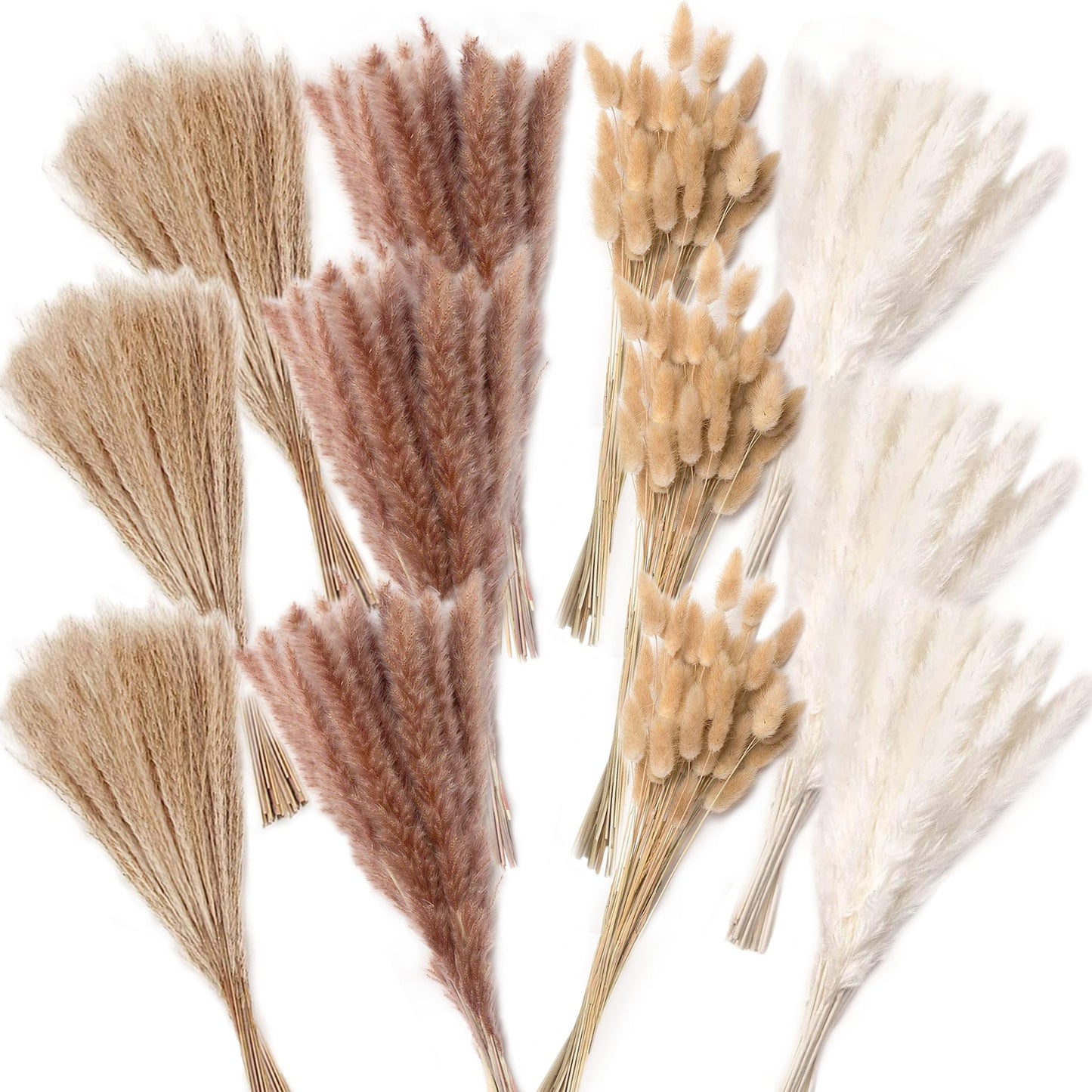 Pampasgras Getrocknet - Natürliche, Braun, Trockenblumen Strauß Dried Flowers, für Heim Decor