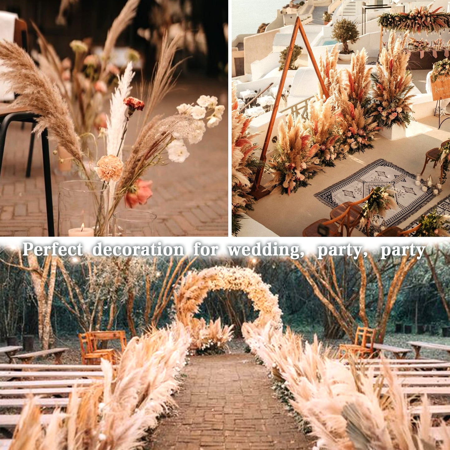 Pampasgras Getrocknet - Natürliche, Braun, Trockenblumen Strauß Dried Flowers, für Heim Decor