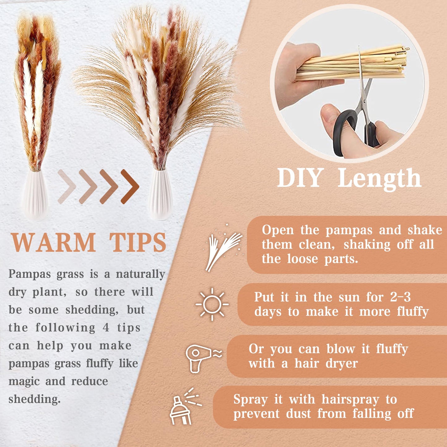 Pampasgras Getrocknet - Natürliche, Braun, Trockenblumen Strauß Dried Flowers, für Heim Decor