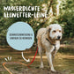 Rudelkönig Schleppleine 5m für Hunde - Robuste & wetterfeste Hundeleine für eine erfolgreiche Hundeerziehung
