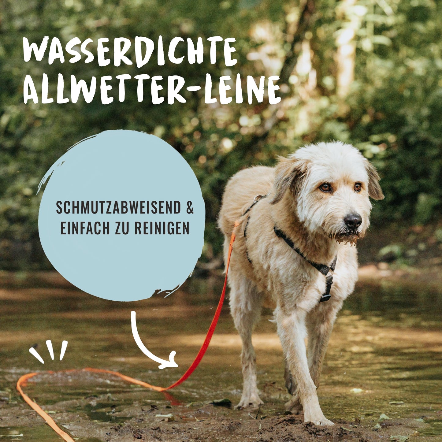 Rudelkönig Schleppleine 5m für Hunde - Robuste & wetterfeste Hundeleine für eine erfolgreiche Hundeerziehung