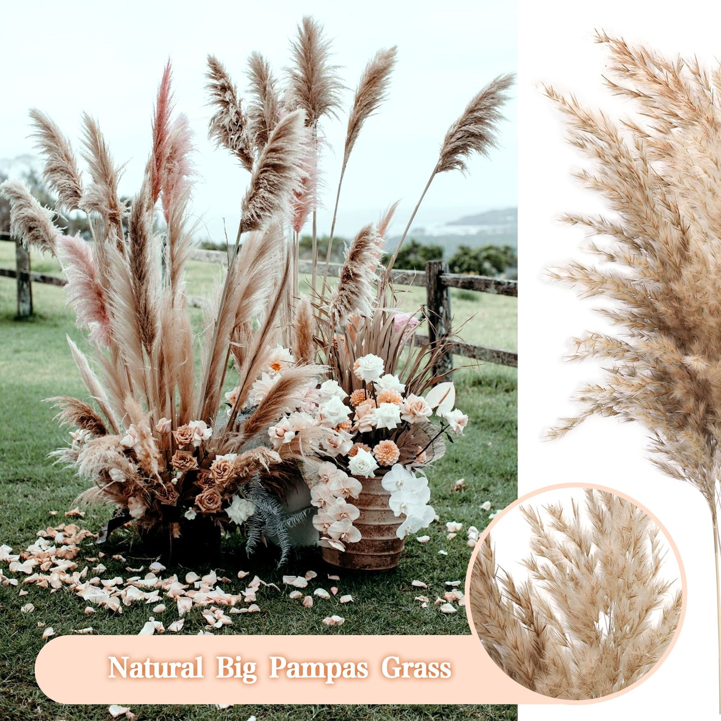 Pampasgras Getrocknet - Natürliche, Braun, Trockenblumen Strauß Dried Flowers, für Heim Decor